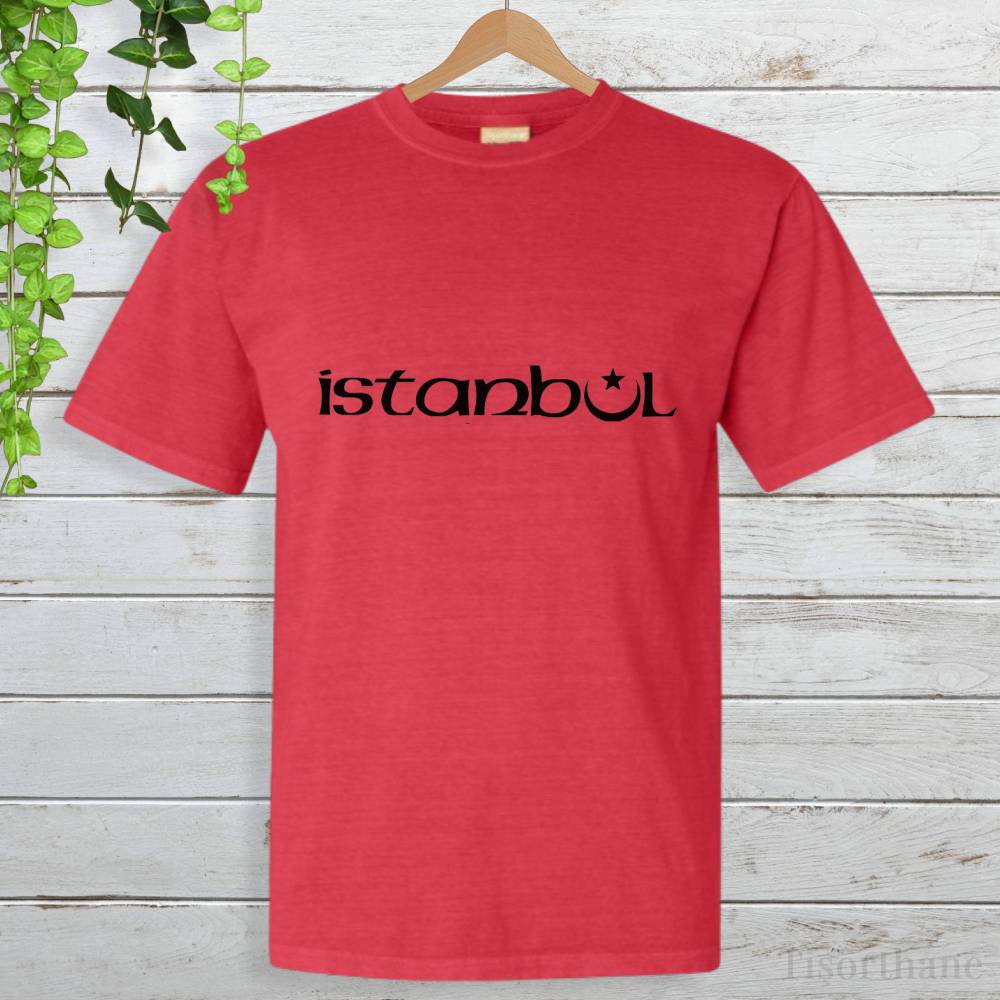 İstanbul Baskılı Minimalist Tasarım Şehir Tişörtü